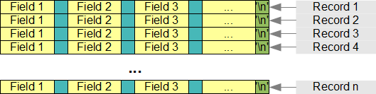 Table contains many records that holds the same number of fields.